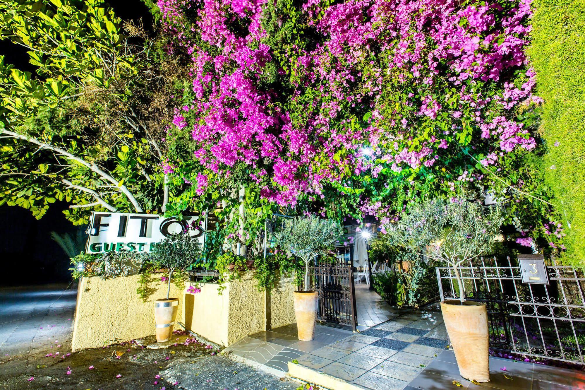 Fitosinn Hotel Geroskipou Exteriér fotografie
